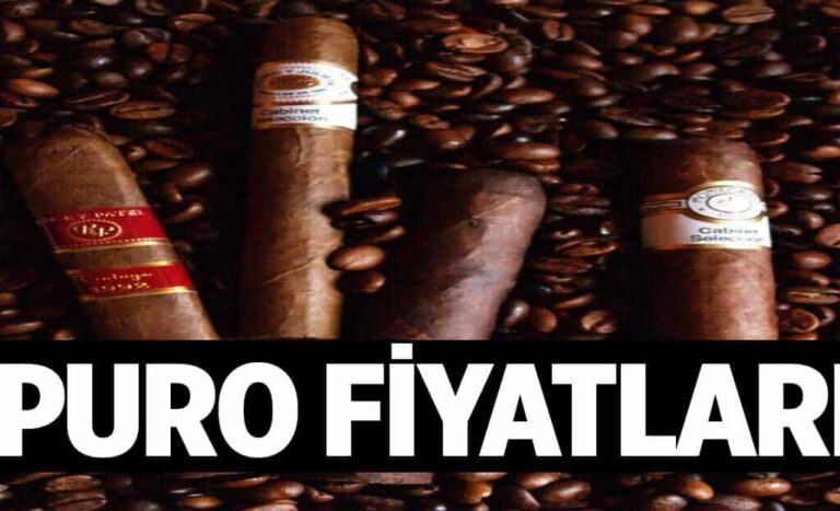 Puro Fiyatlari 1024x6224Lb.jpg