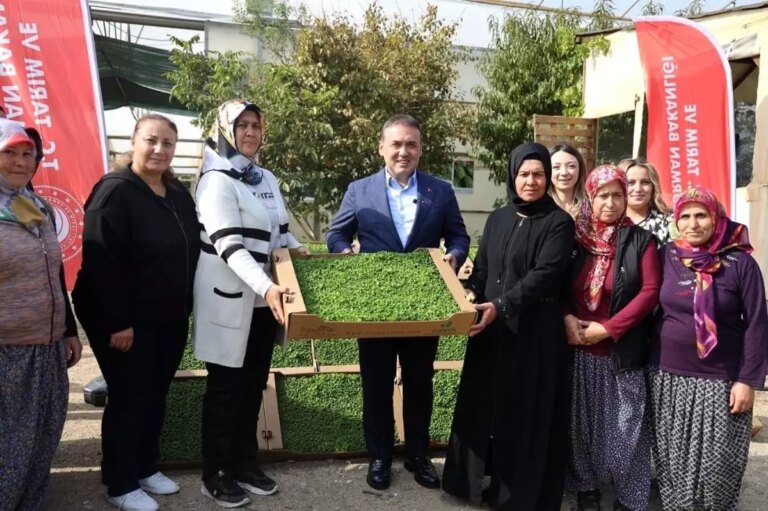 bilecikte marul fidesi dagitimi gerceklesti SRfDtZnW.jpg