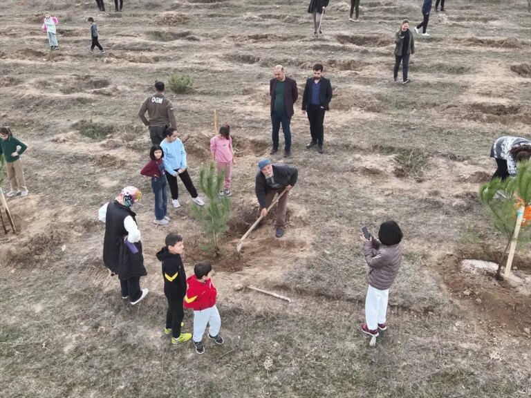 kargida-fidan-dikimi-etkinligi-bkUBT4s3.jpg