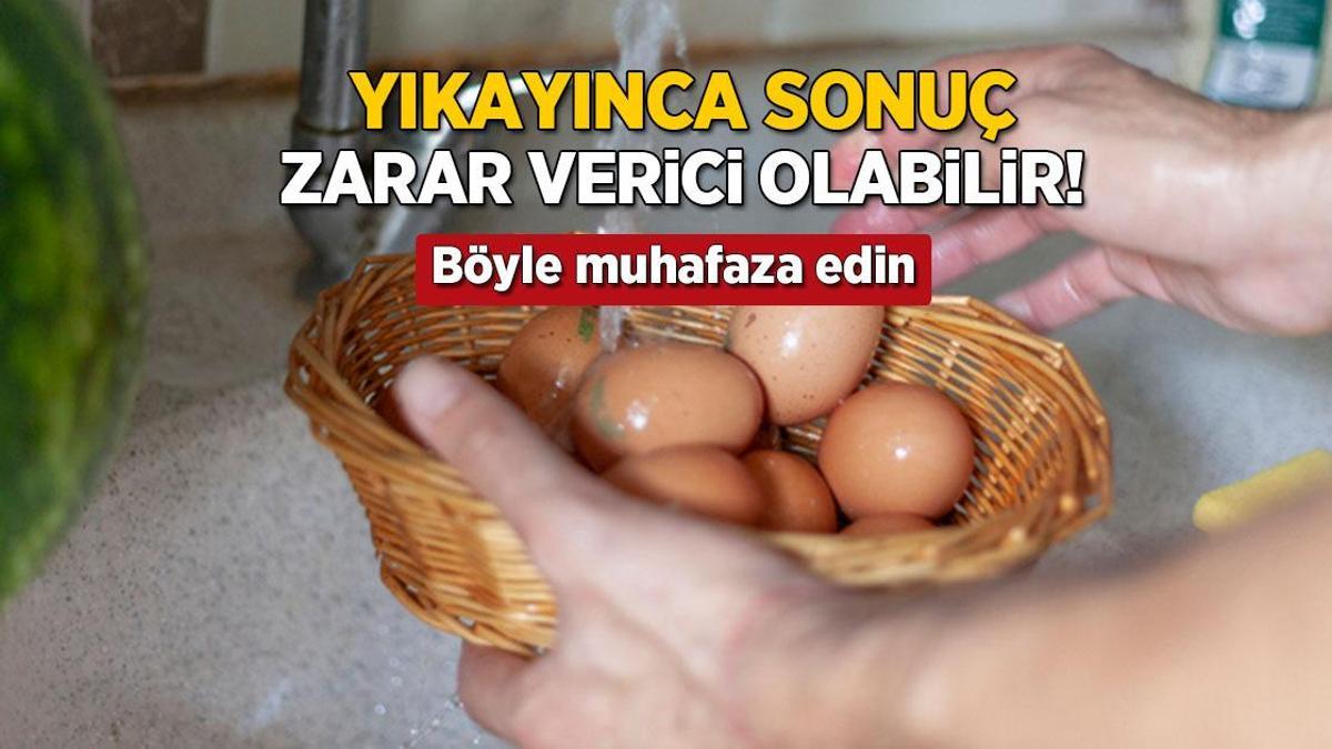 yikayinca sonuc salmonella bakterisi yumurtayi boyle muhafaza etmek sart NJqYEvOq.jpg