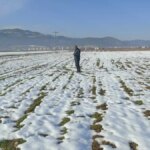 islahiyede-kar-yagisi-ciftcileri-sevindirdi-2WpB1c49.jpg